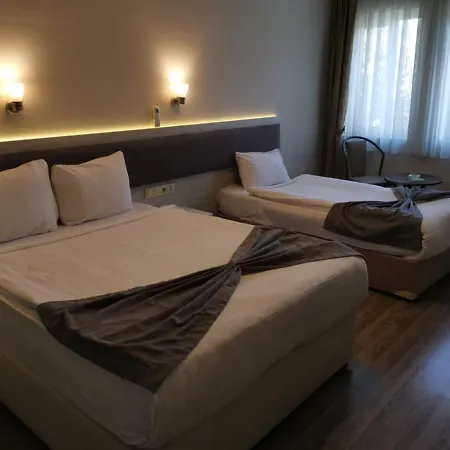 Hotel Temizay