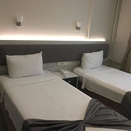 Hotel Temizay