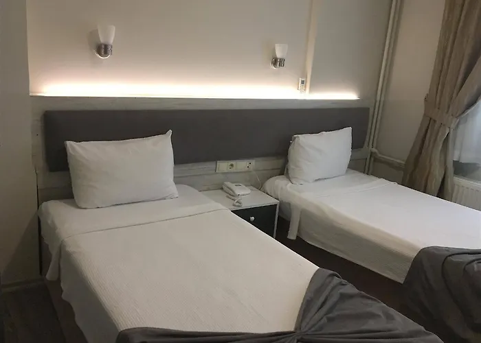Hotel Temizay