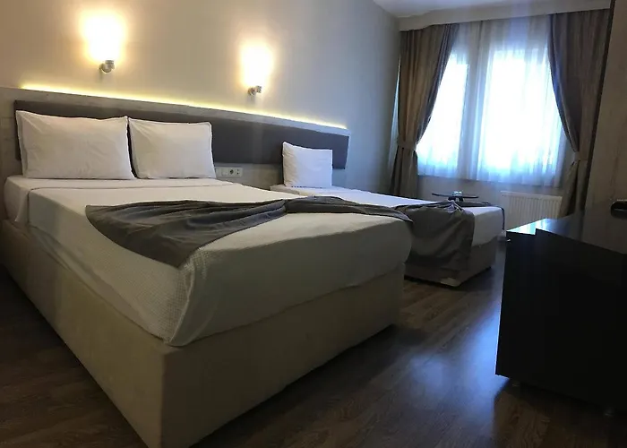 Temizay 3* Çanakkale