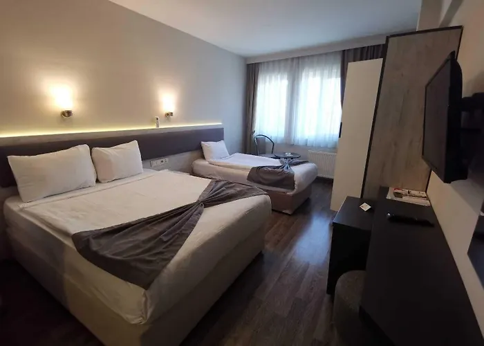 Temizay 3* Çanakkale