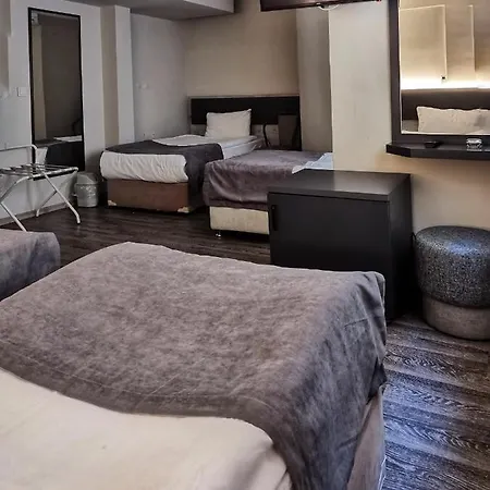 Hotel Temizay 3*