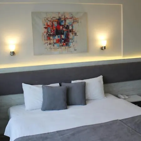 Hotel Temizay 3*