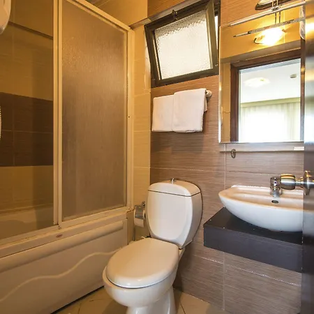 Hotel Temizay