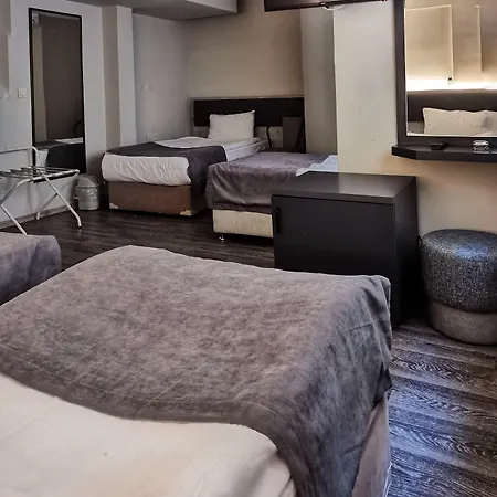 Hotel Temizay