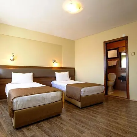 Hotel Temizay 3*